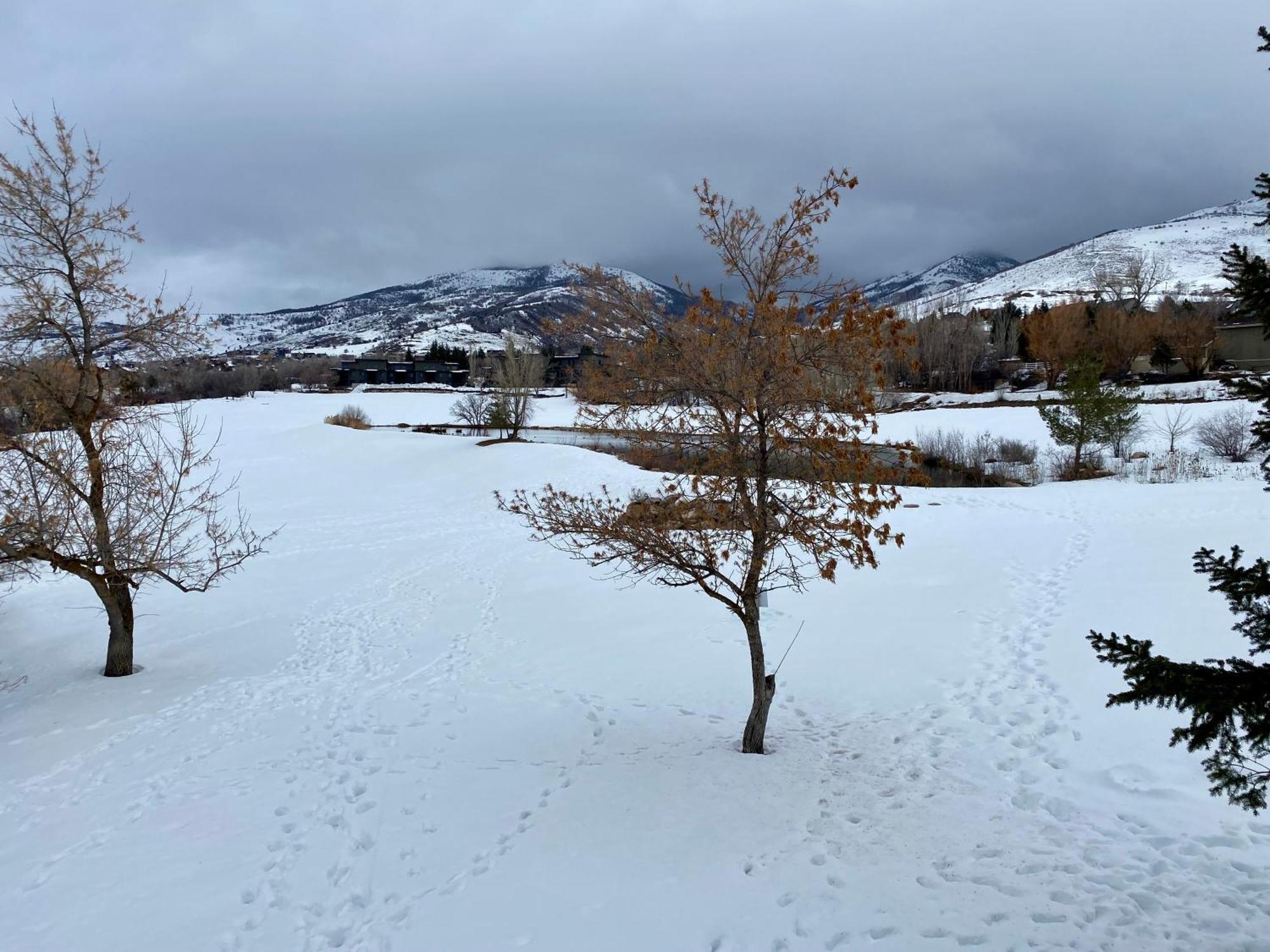 Wolf Creek Lodge Condo In Eden, Ut - Relaxing Mountain Retreat Bagian luar foto