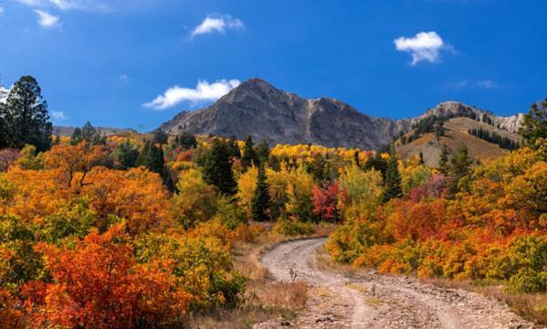 Wolf Creek Lodge Condo In Eden, Ut - Relaxing Mountain Retreat Bagian luar foto